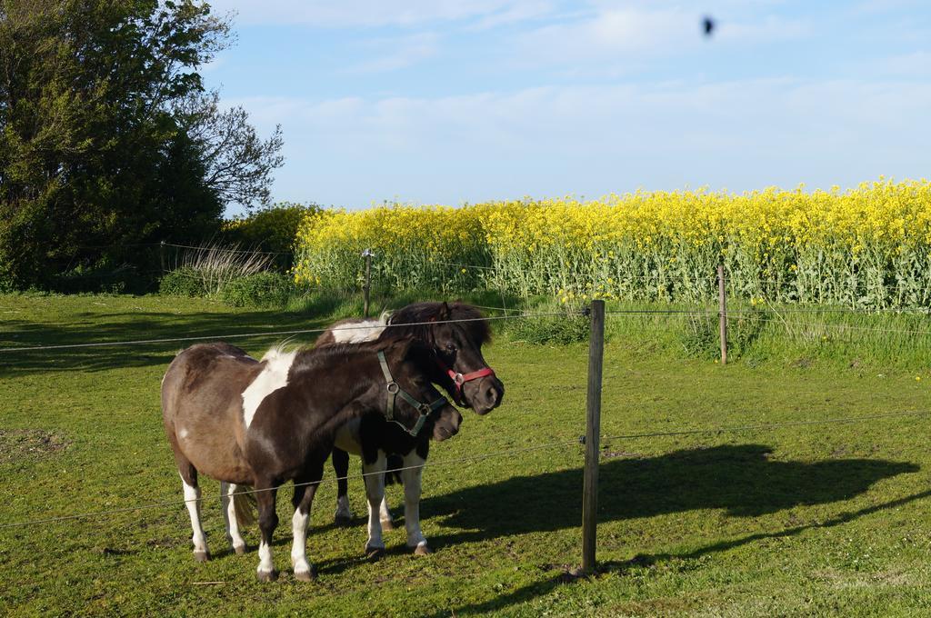 Lokken Farm Holiday Δωμάτιο φωτογραφία